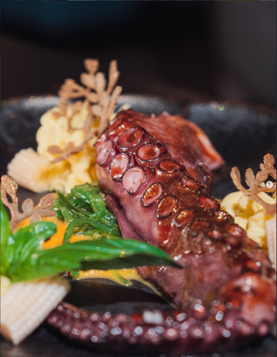 octopus